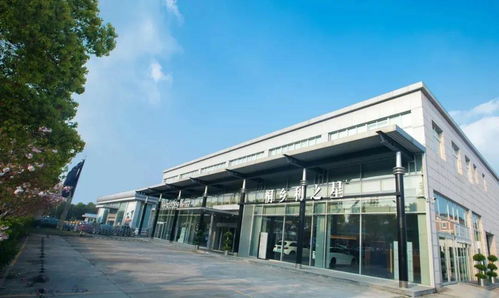 桐乡利之星 以卓越产品与用心服务，重新定义完美房产经纪